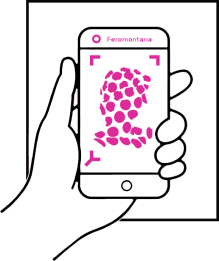Web App Advertisement